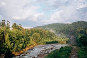 Morva Premium Spa Resort 21