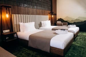 Спа-отель Morva Premium Spa Resort. Делюкс двухместный  6