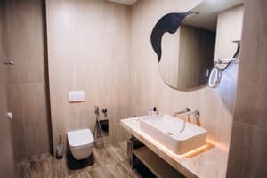 Спа-готель Morva Premium Spa Resort. Люкс двомісний signature (4+1) 9