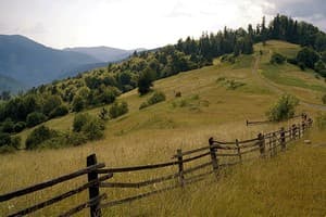 На Берегу реки 2