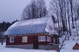 На лузі 1