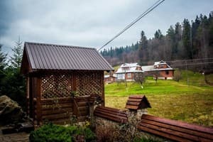 На пеньках 9