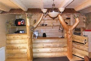 На пеньках 10