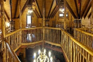 На пеньках 15