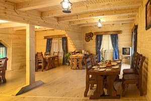 На пеньках 16