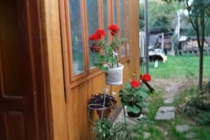 Коттедж Над прутом