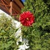 NestG Guest House 3-4/18
