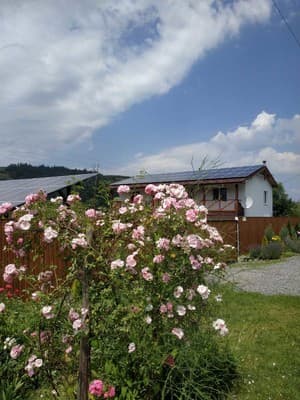 NestG Guest House 4
