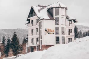 Частная усадьба Ника