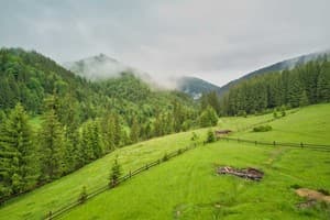 Николь 13