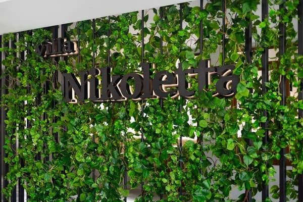 Nikoletta 20