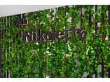 Nikoletta 20