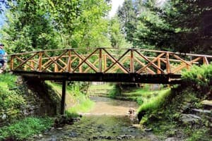 ОПАКА (с форельником) 15