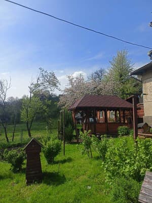 Обнова 9