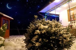 Охотничий Двор 5