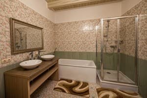 Ольга корпус DeLuxe 7