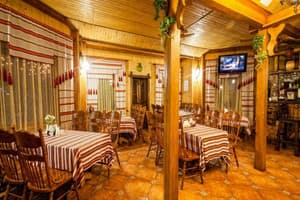 Ольга корпус DeLuxe 11