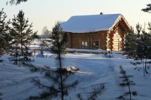 Опушка Леса 2