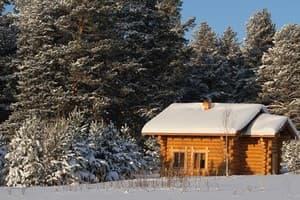 Опушка Леса 6