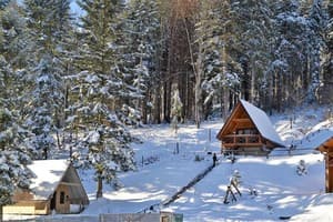 Осоння Карпаты 19