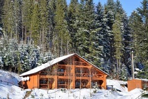 Осоння Карпаты 2