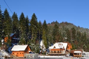 Осоння Карпаты 4