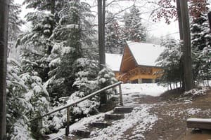 Осоння Карпаты 5