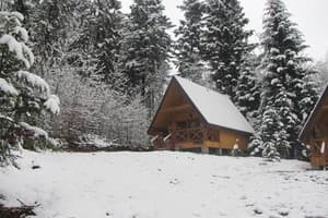 Осоння Карпаты 7