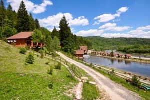 Осоння Карпаты 3