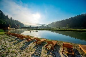 Осоння Карпаты 5