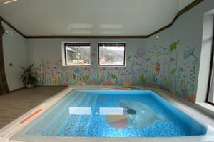 Осоння Карпаты 11