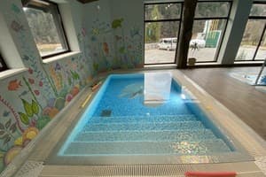 Осоння Карпаты 12