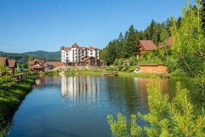 Осоння Карпаты 22