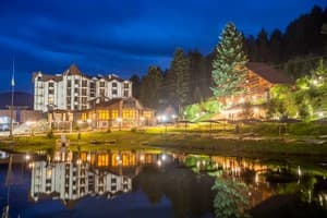 Осоння Карпаты 24