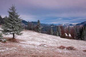 Отдых у Виктории 2