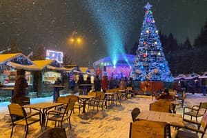 PANORAMA Chalet Mountain Residence 7