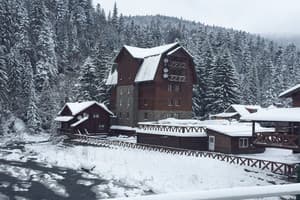 Пацьорка 1