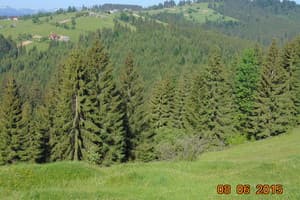 Панорама Карпат 17