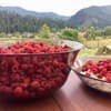 Частный сектор Панорама Маґура. Коттедж 7-местный (7+1) 13