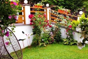 Парламент 35