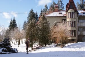 Отель Перлина Карпат