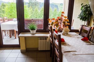 Перлина Карпат 7