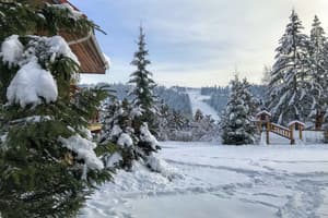 Перлина Карпат 1