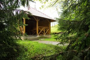 Перлина Карпат 5