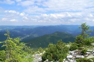 Перлина Карпат 5