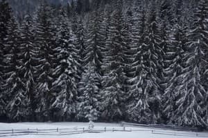 Перлина гір 8