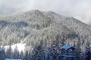 Перлина гір 11