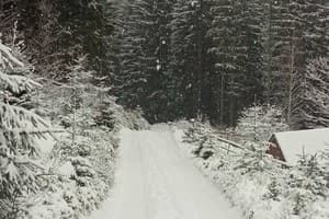 Перлина гір 19