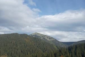 Перлина гір 24