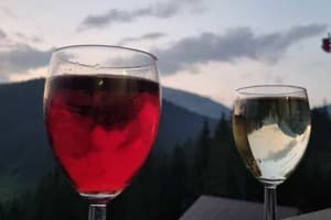 Перлина гір 20